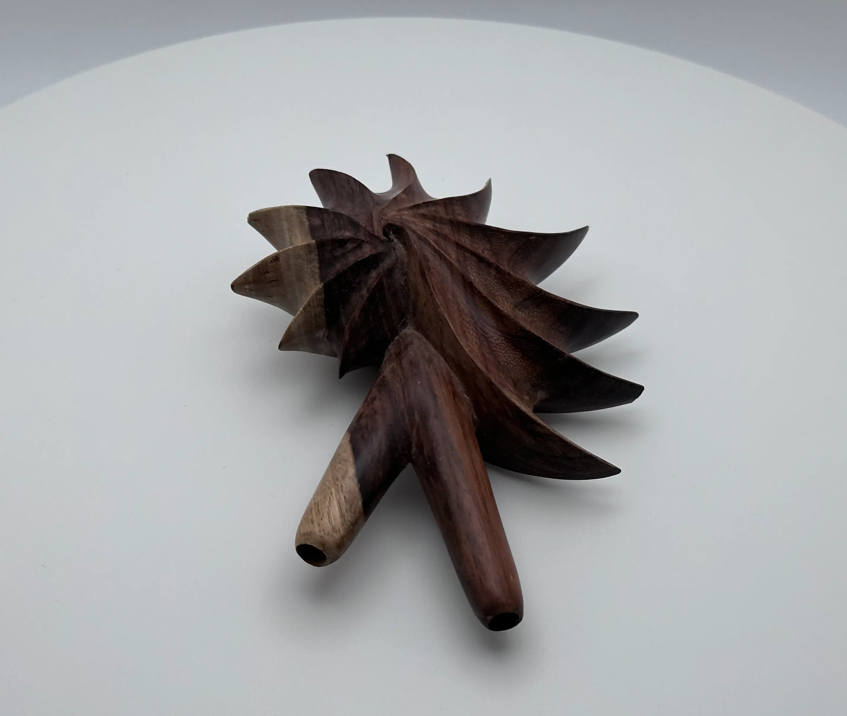 Tamarind Extra Solid Hard Wood Shell Kuripe