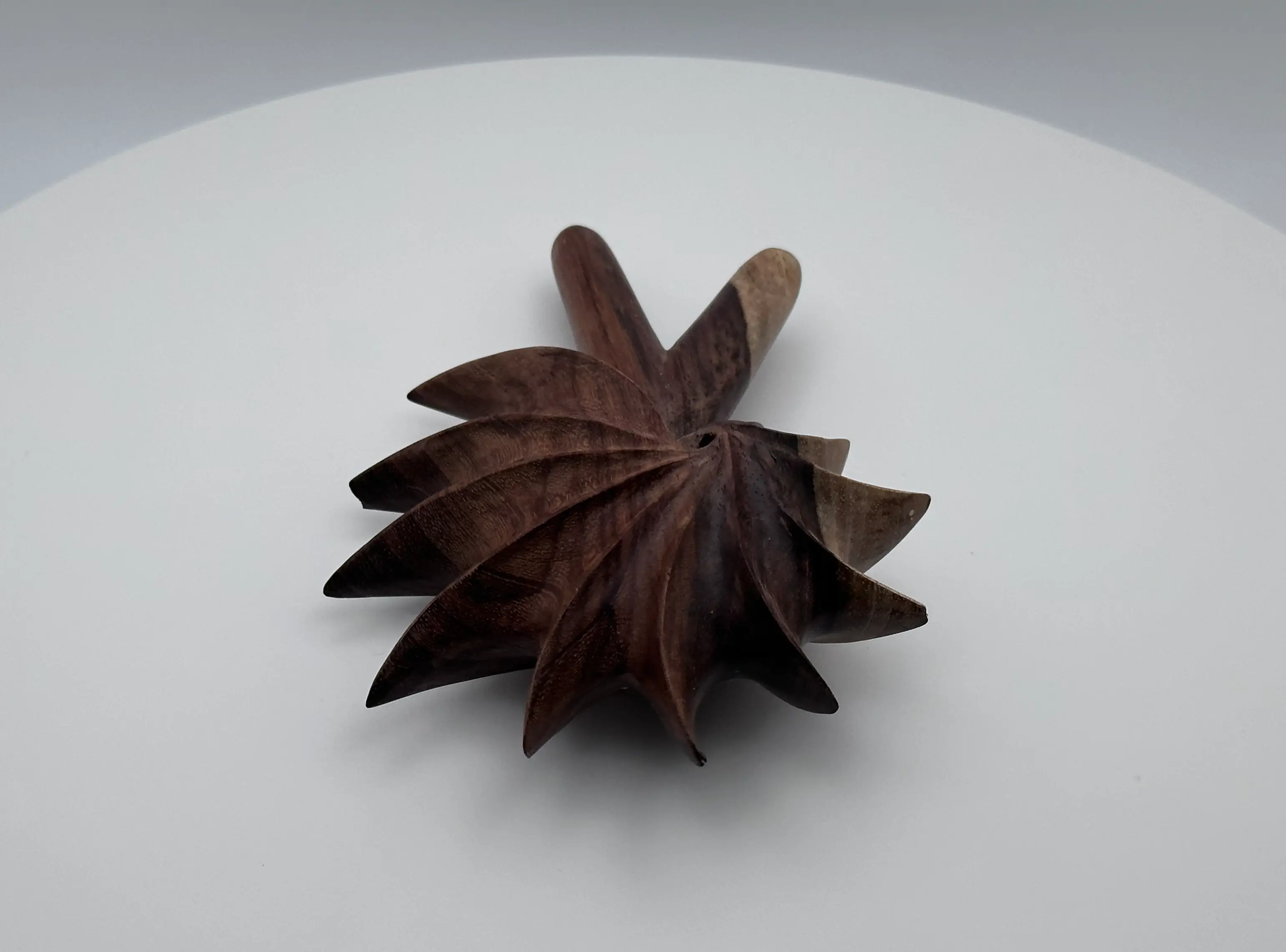 Tamarind Extra Solid Hard Wood Shell Kuripe